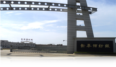 PA��Ѷ����Ϸ����-PlayAce