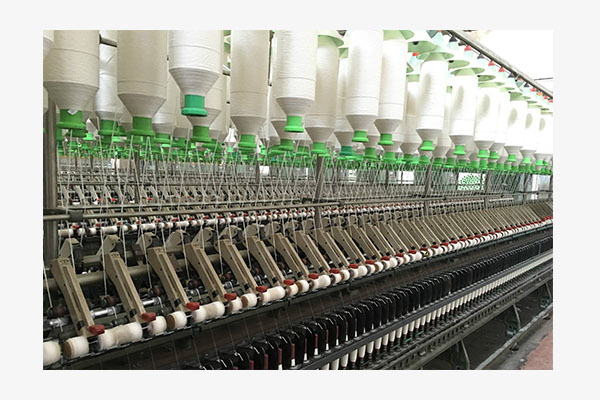 ճ�������ɴ